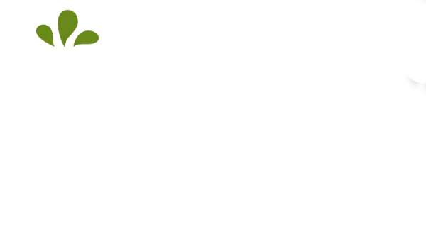 food text